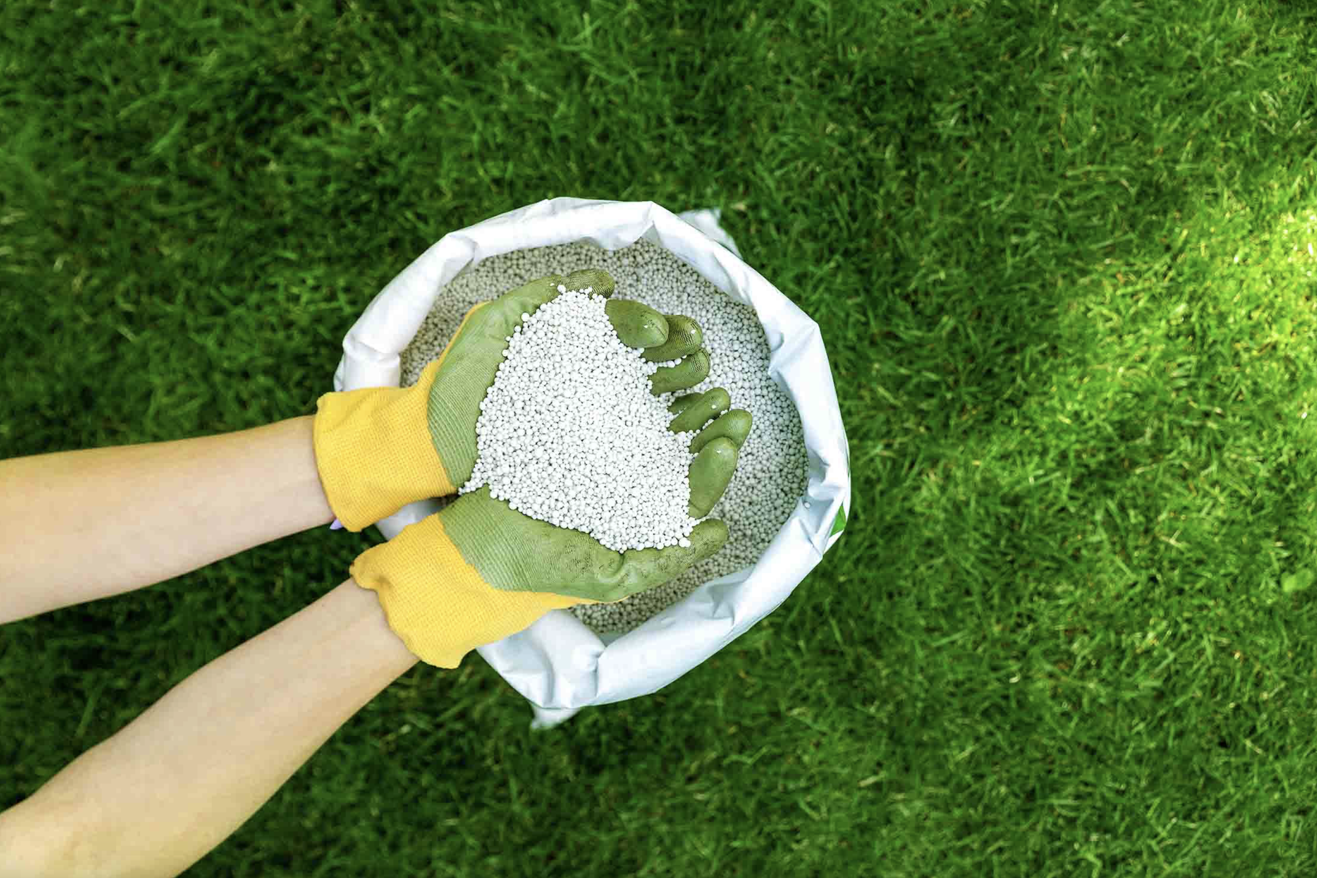 ‘Fertilizer Restricted’ season begins in Sarasota County